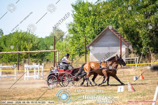Mintakép 20260809-1172