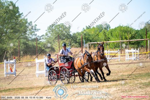 Mintakép 20260809-1175