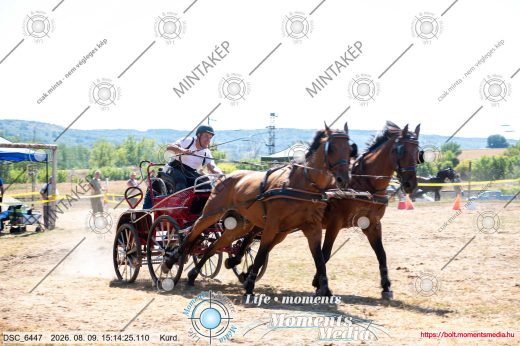 Mintakép 20260809-1176