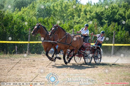 Mintakép 20260809-1179