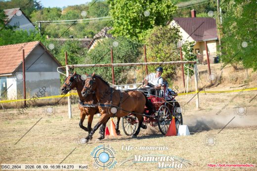 Mintakép 20260809-1184