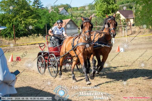 Mintakép 20260809-1186