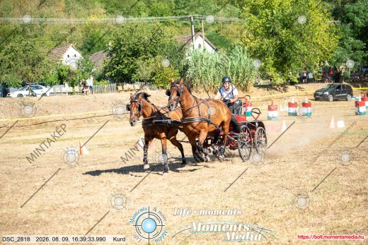 Mintakép 20260809-1194