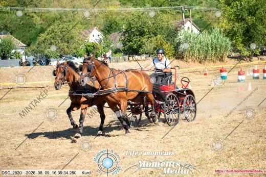 Mintakép 20260809-1195
