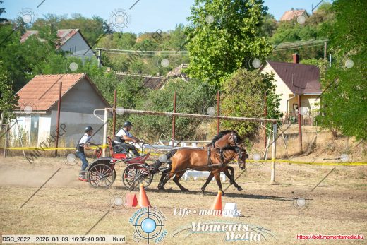 Mintakép 20260809-1197