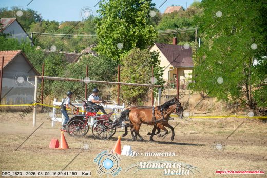 Mintakép 20260809-1198