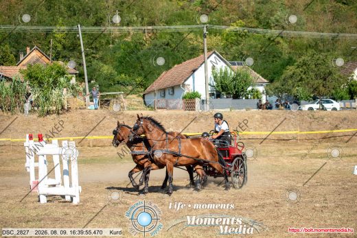 Mintakép 20260809-1201