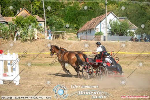 Mintakép 20260809-1202