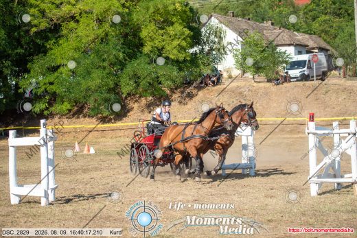 Mintakép 20260809-1203