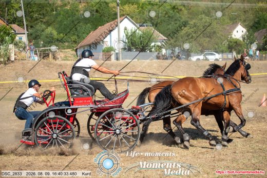 Mintakép 20260809-1207
