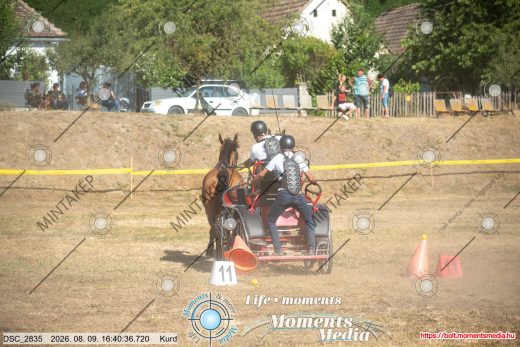 Mintakép 20260809-1209