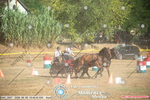 Mintakép 20260809-1210