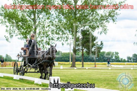 Mintakép 20260611-77
