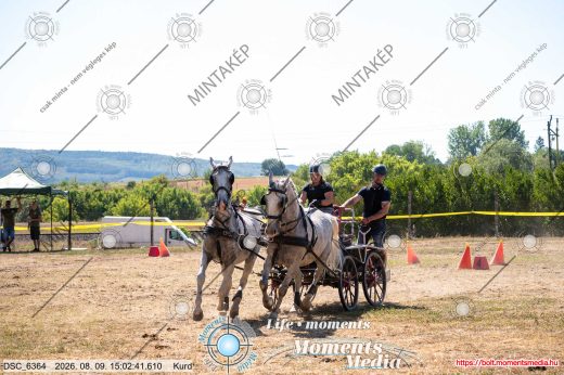 Mintakép 20260809-1216