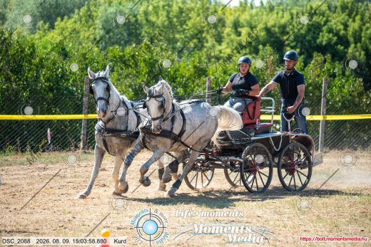 Mintakép 20260809-1223