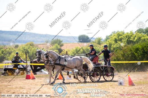 Mintakép 20260809-1230