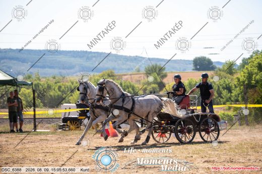 Mintakép 20260809-1231