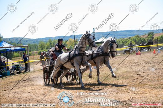 Mintakép 20260809-1232