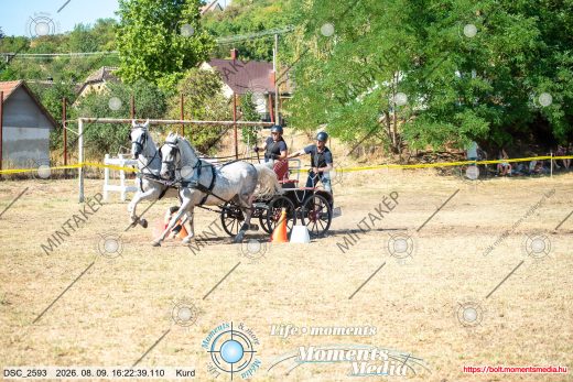 Mintakép 20260809-1238