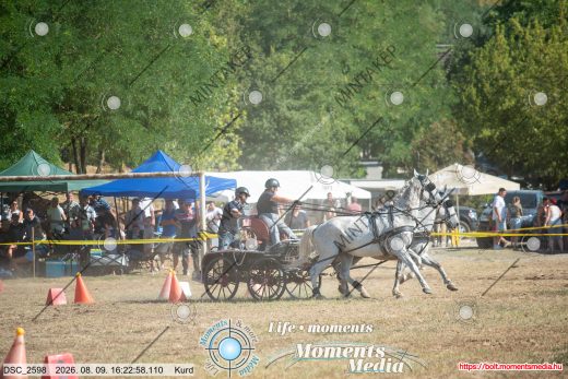 Mintakép 20260809-1241
