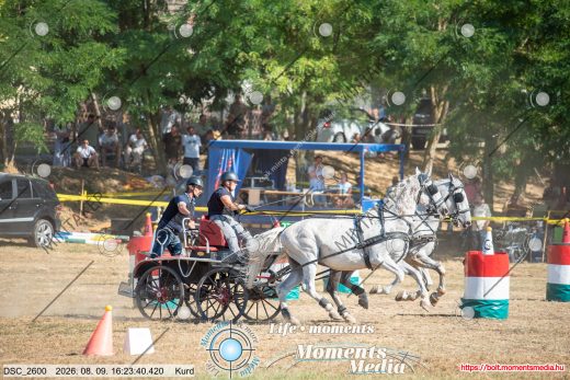 Mintakép 20260809-1243