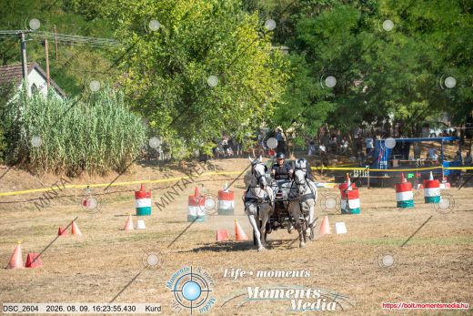 Mintakép 20260809-1245