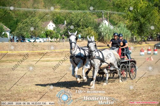 Mintakép 20260809-1246