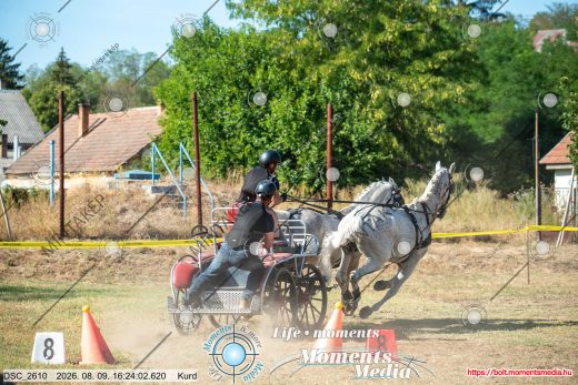 Mintakép 20260809-1251
