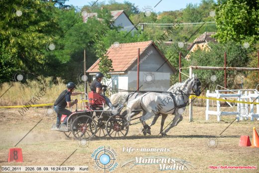 Mintakép 20260809-1252