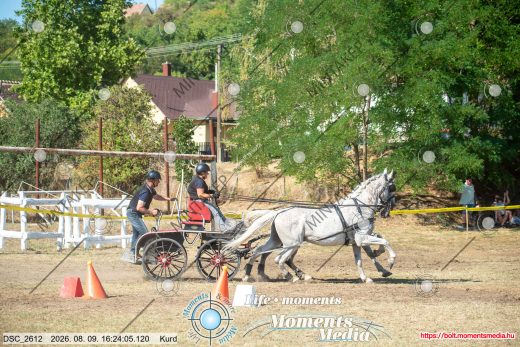 Mintakép 20260809-1253