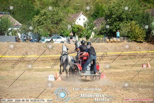 Mintakép 20260809-1264