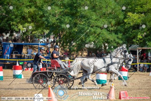 Mintakép 20260809-1266