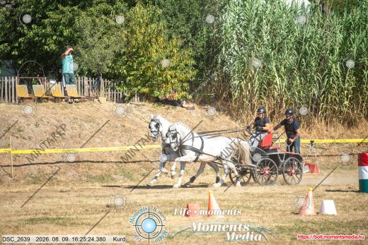 Mintakép 20260809-1269