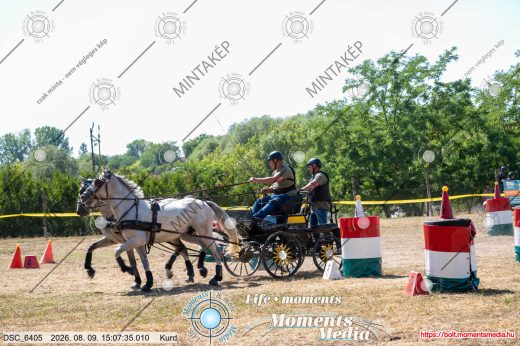 Mintakép 20260809-1277