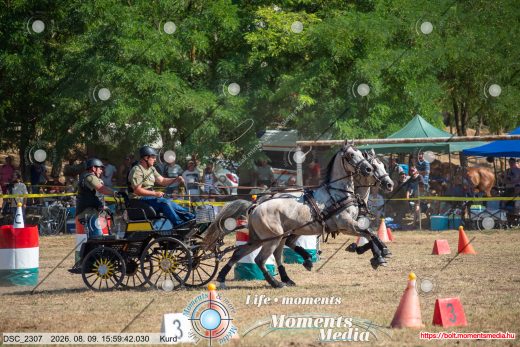 Mintakép 20260809-1299