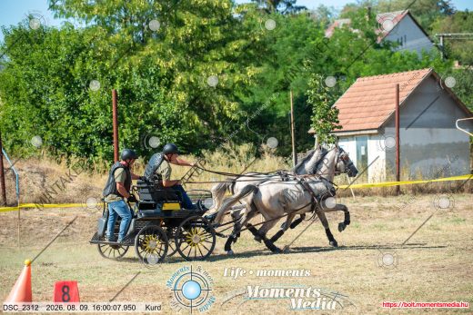 Mintakép 20260809-1302