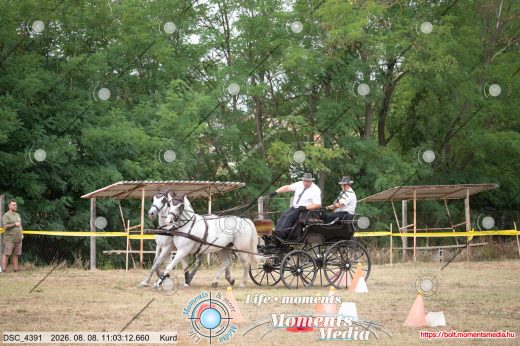 20260808-110312-DSC_4391.jpg