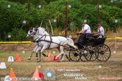 20260808-110405-DSC_4394.jpg