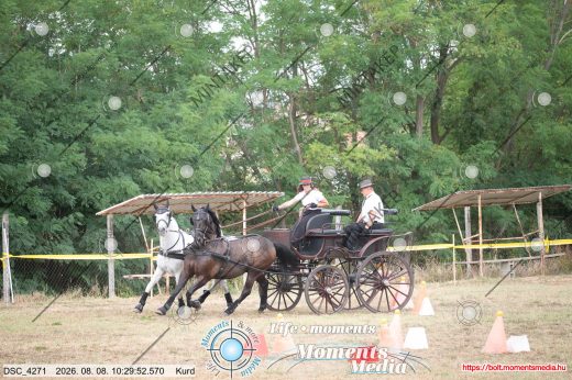 Mintakép 20260808-469