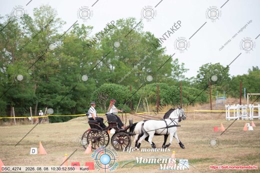 Mintakép 20260808-470