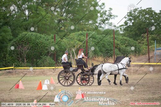Mintakép 20260808-477