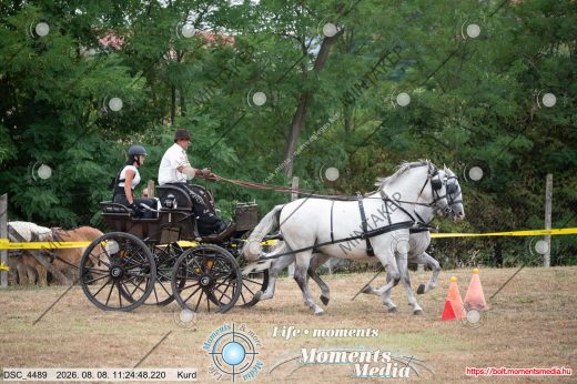 Mintakép 20260808-517