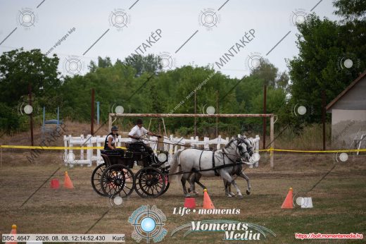 Mintakép 20260808-520