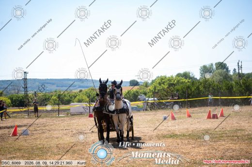 Mintakép 20260809-1307