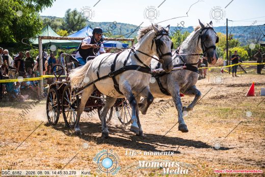 Mintakép 20260809-1308