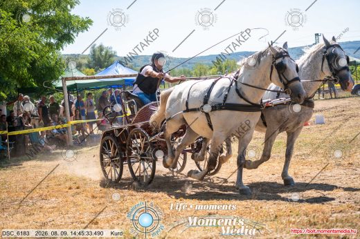 Mintakép 20260809-1309