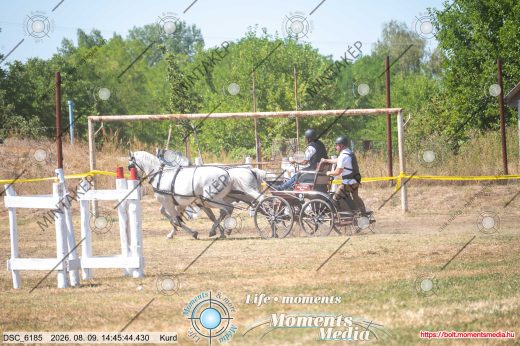Mintakép 20260809-1310