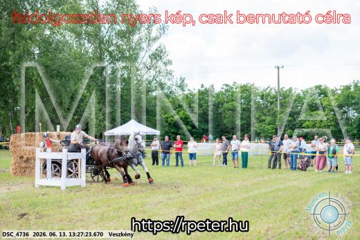 Mintakép 20260613-142