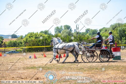 Mintakép 20260809-1314