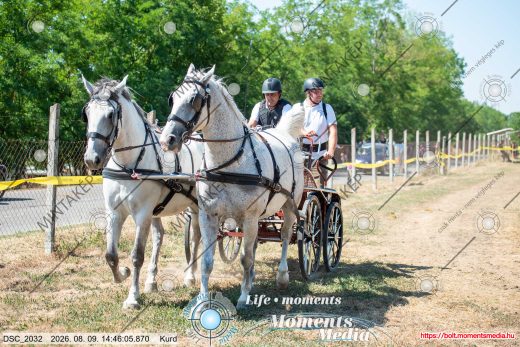 Mintakép 20260809-1315